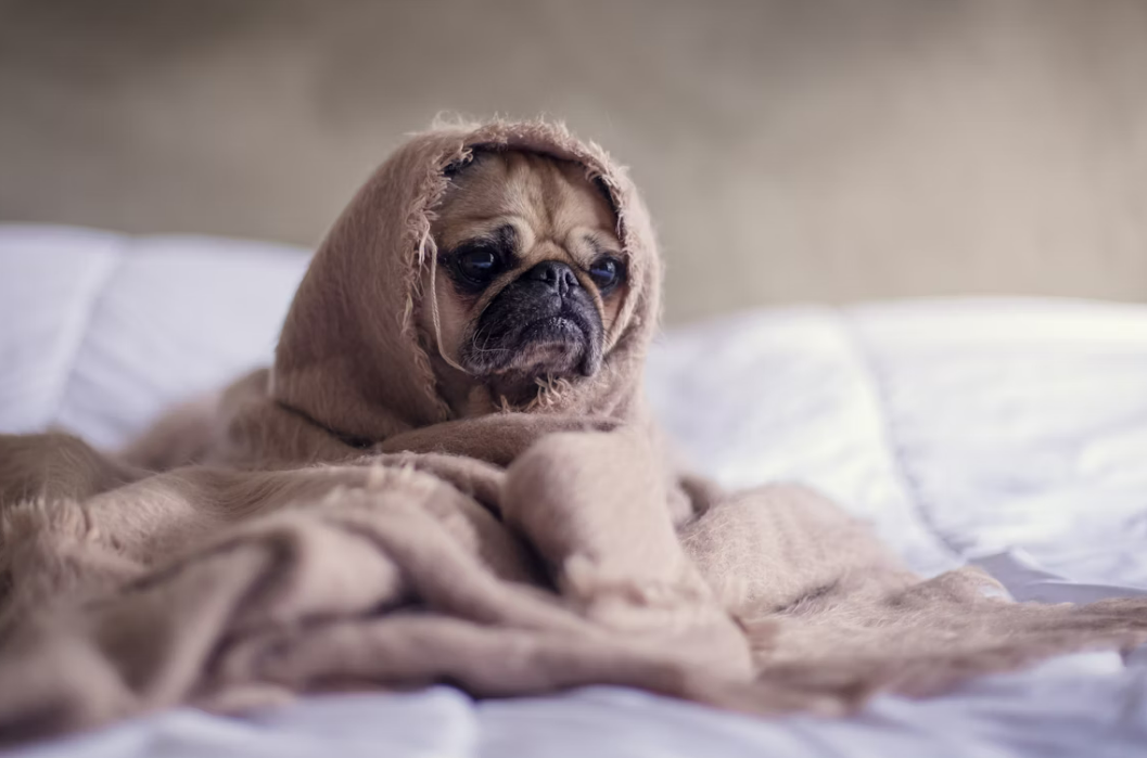 Why NOW is the best time to book holiday travel