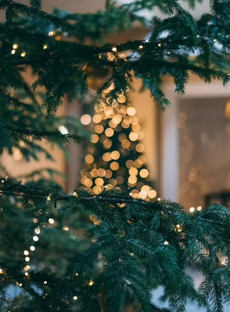 Making Christmas Moments